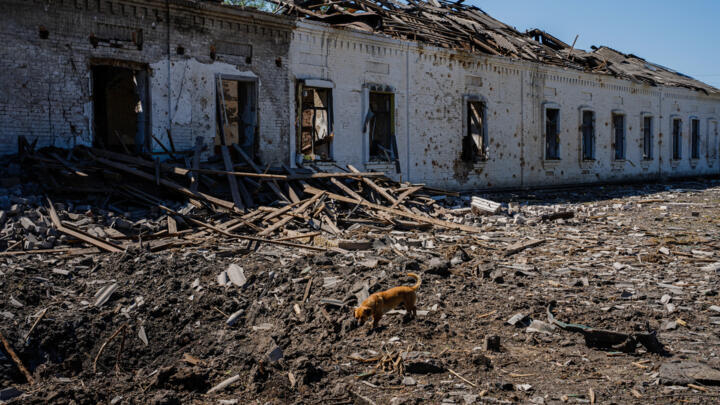  File photo: A dog walks on the debris of a destroyed building after an air bombing in the town of Orikhiv in Ukraine’s Zaporizhzhia region, May 7, 2023.